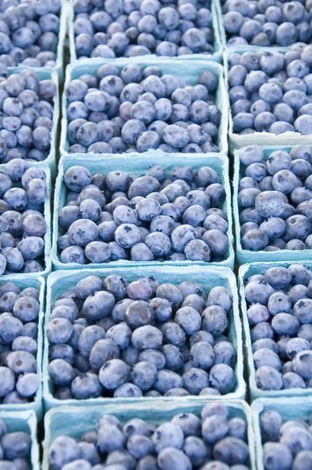 Fresh blueberries in cardboard containers at a farmers market